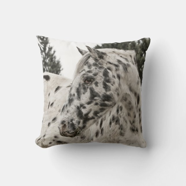 Beautiful Appaloosa Horse, Western Cushion (Front)