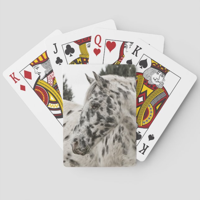 Beautiful Appaloosa Horse, Western Playing Cards (Back)