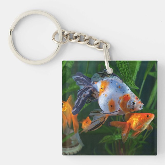 Beautiful Aquarium Fish Tank Key Ring (Front)