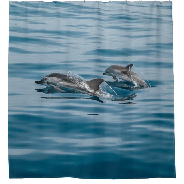 Beautiful Aquatic Dolphins Shower Curtain (Front)