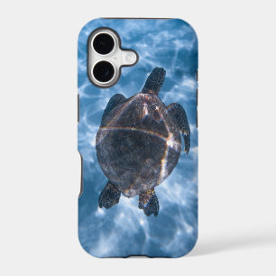 Beautiful Aquatic Turtle Best gift for sea life