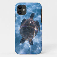 Beautiful Aquatic Turtle | Best gift for sea life