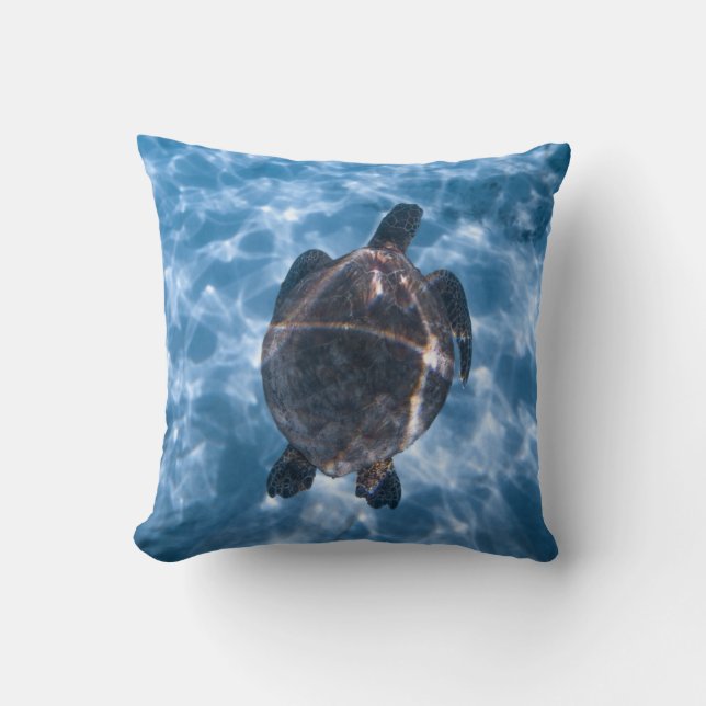 Beautiful Aquatic Turtle | Best gift for sea life Cushion (Front)