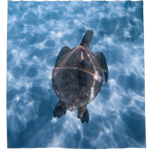 Beautiful Aquatic Turtle   Best gift for sea life Shower Curtain
