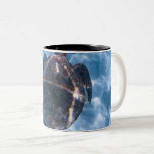 Beautiful Aquatic Turtle Best gift for sea life Two-Tone Coffee Mug