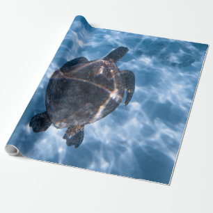 Beautiful Aquatic Turtle Best gift for sea life Wrapping Paper