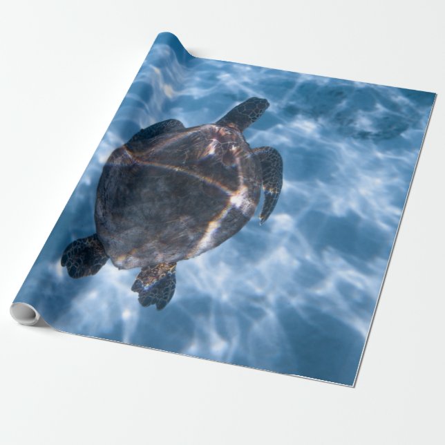 Beautiful Aquatic Turtle | Best gift for sea life Wrapping Paper (Unrolled)