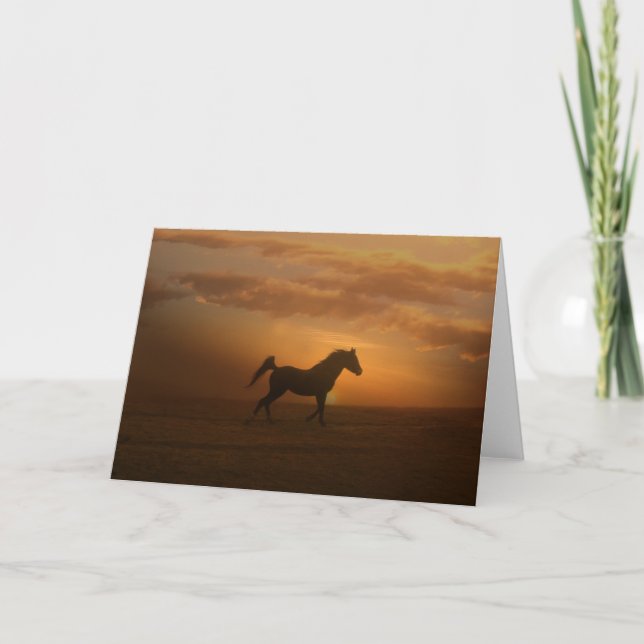 Beautiful Arabian Blank Note Card (Front)