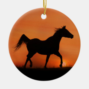 Beautiful Arabian Horse Ornament