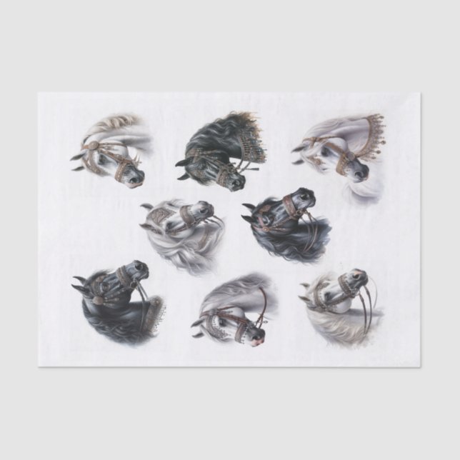 Beautiful Arabian Horses with Fancy Bridles Tissue Paper (Front)