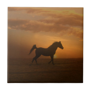 Beautiful Arabian Sunset Art Tile Horse Lover