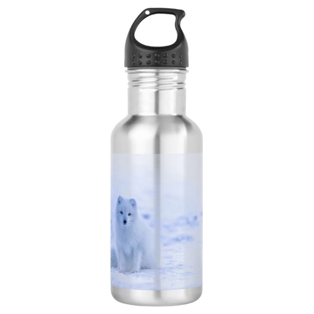 Beautiful Arctic Fox 532 Ml Water Bottle (Front)