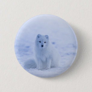 Beautiful Arctic Fox 6 Cm Round Badge