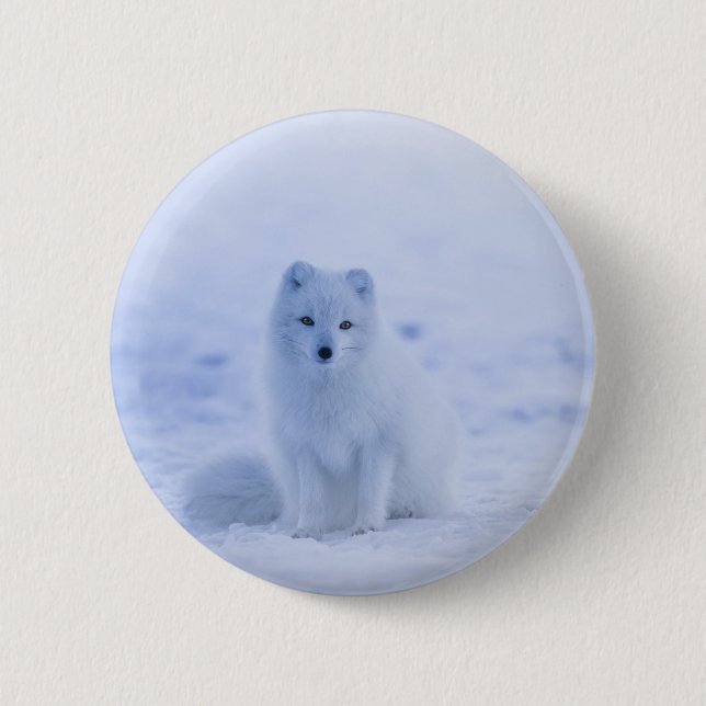 Beautiful Arctic Fox 6 Cm Round Badge (Front)