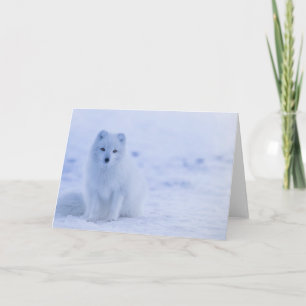 Beautiful Arctic Fox Card