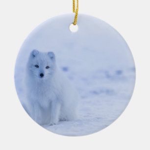 Beautiful Arctic Fox Ceramic Ornament