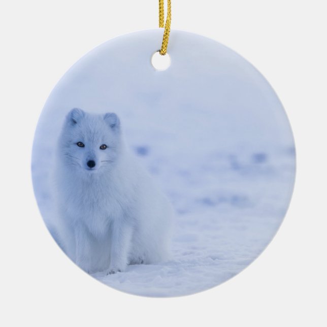 Beautiful Arctic Fox Ceramic Ornament (Front)