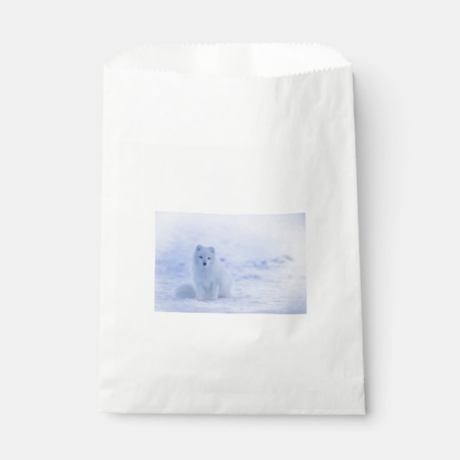 Beautiful Arctic Fox Favour Bag (Front)