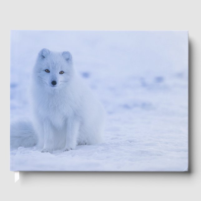 Beautiful Arctic Fox Guest Book (Front)