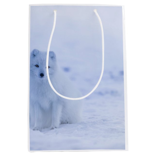 Beautiful Arctic Fox Medium Gift Bag (Front)