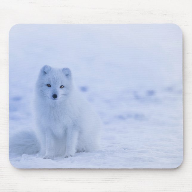 Beautiful Arctic Fox Mouse Pad (Front)