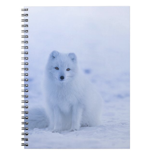 Beautiful Arctic Fox Notebook (Front)
