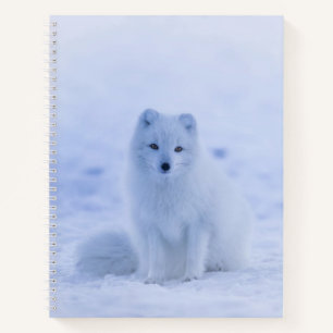 Beautiful Arctic Fox Notebook