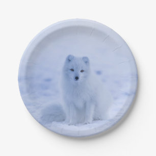Beautiful Arctic Fox Paper Plate