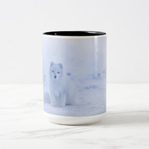 Beautiful Arctic Fox Two-Tone Coffee Mug