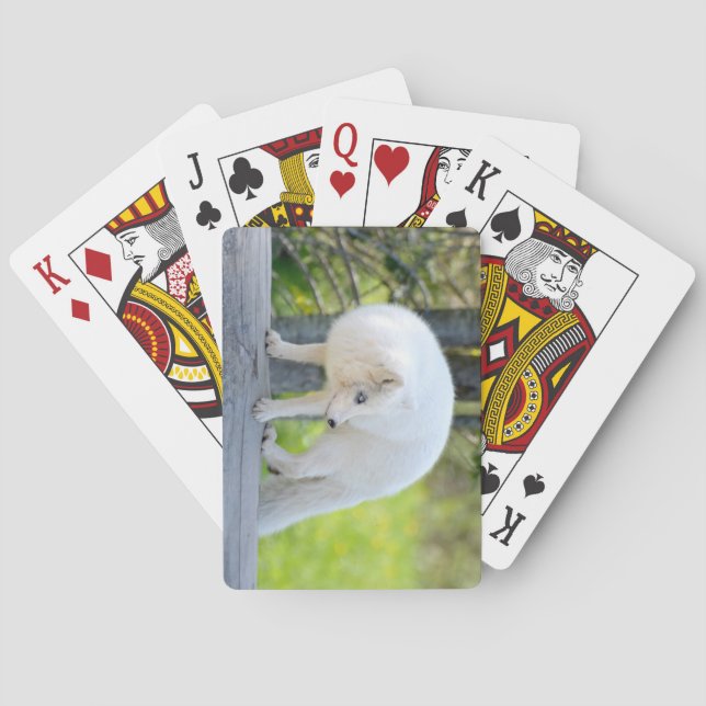 Beautiful Artic Fox Playing Cards (Back)