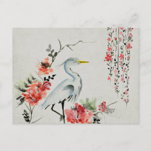 beautiful Asian crane bird Postcard