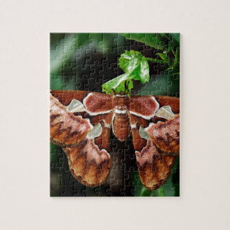 Beautiful Atlas Moth Jigsaw Puzzle