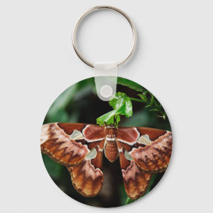 Beautiful Atlas Moth Key Ring