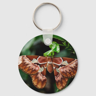Beautiful Atlas Moth Key Ring