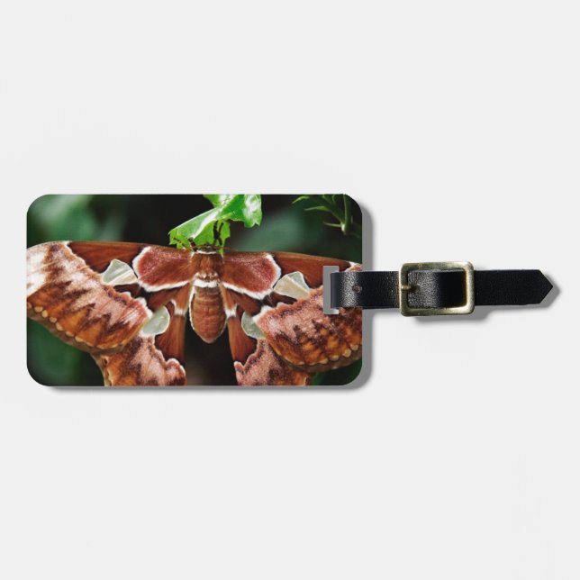 Beautiful Atlas Moth Luggage Tag (Front Horizontal)