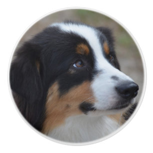 Beautiful Aussie Ceramic Knob