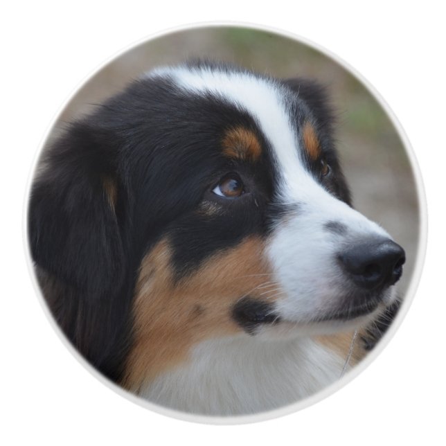 Beautiful Aussie Ceramic Knob (Front)