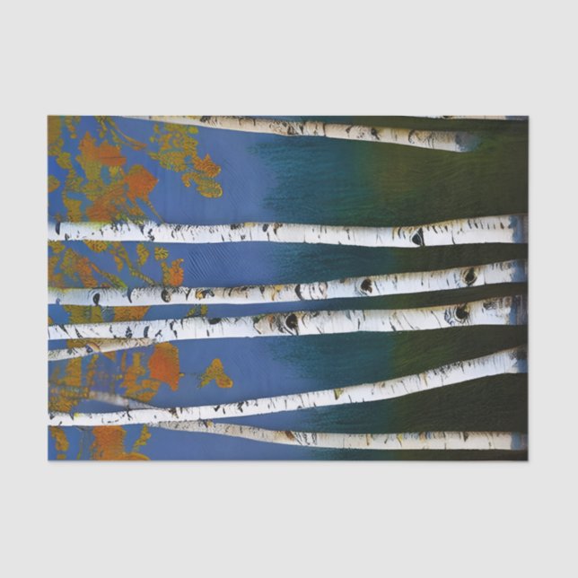 Beautiful Autumn Birch Tissue Paper (Front)