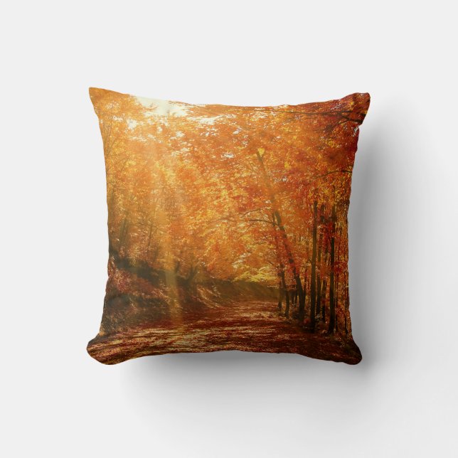 Beautiful autumn cushion (Front)