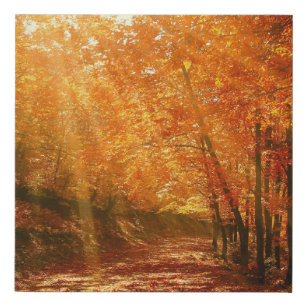 Beautiful autumn faux canvas print