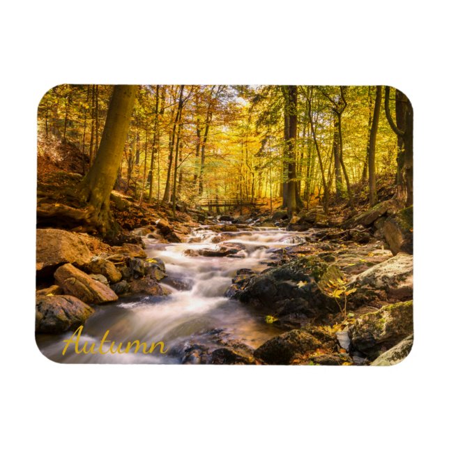 Beautiful Autumn Forest Magnet (Horizontal)