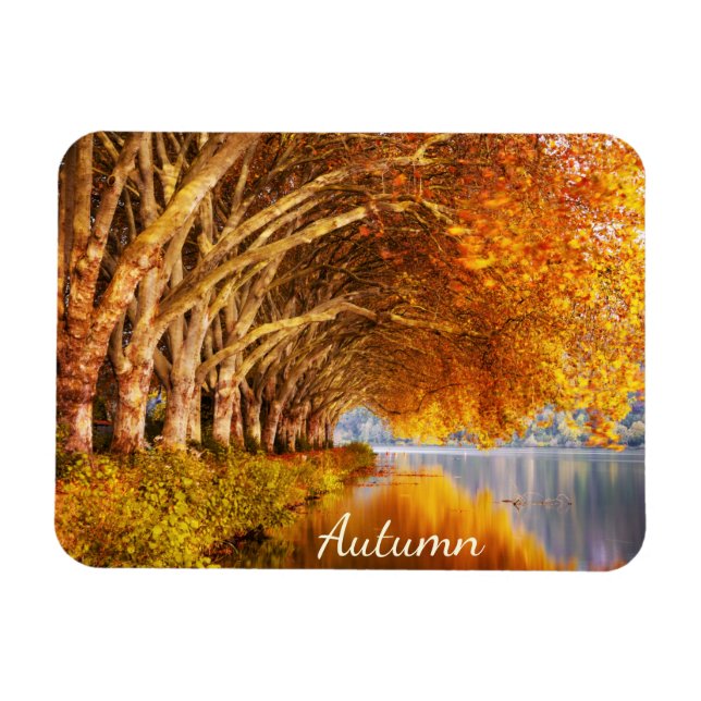 Beautiful Autumn Forest Magnet (Horizontal)