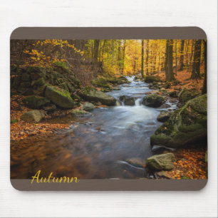Beautiful Autumn Forest Mouse Pad