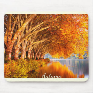Beautiful Autumn Forest Mouse Pad