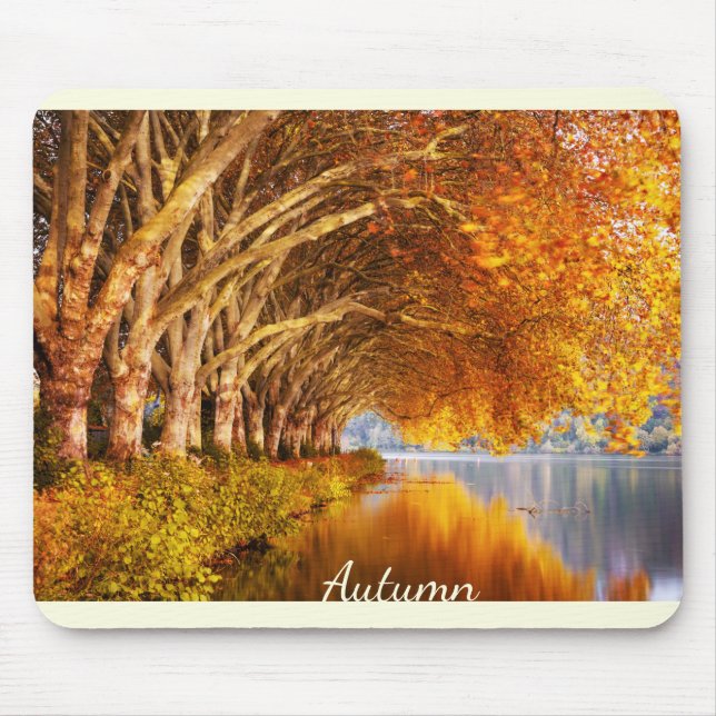 Beautiful Autumn Forest Mouse Pad (Front)