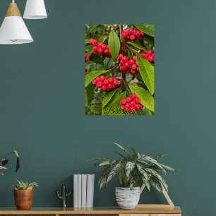 Beautiful autumn fruits hello card poster