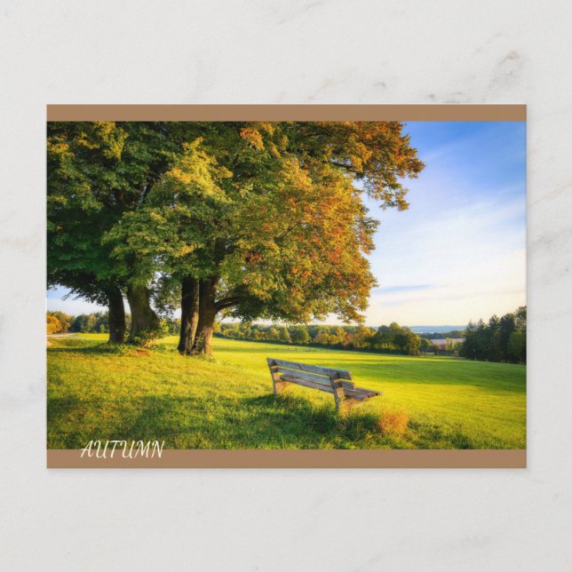 Beautiful Autumn Landscape Postcard (Front)