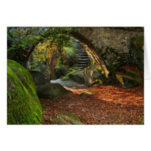 Beautiful Autumn Scene