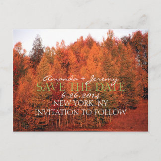 Beautiful Autumn Trees Save the Date Announcement Postcard