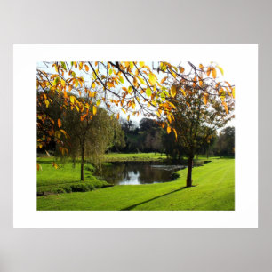 Beautiful autumnal scene in Jersey Poster